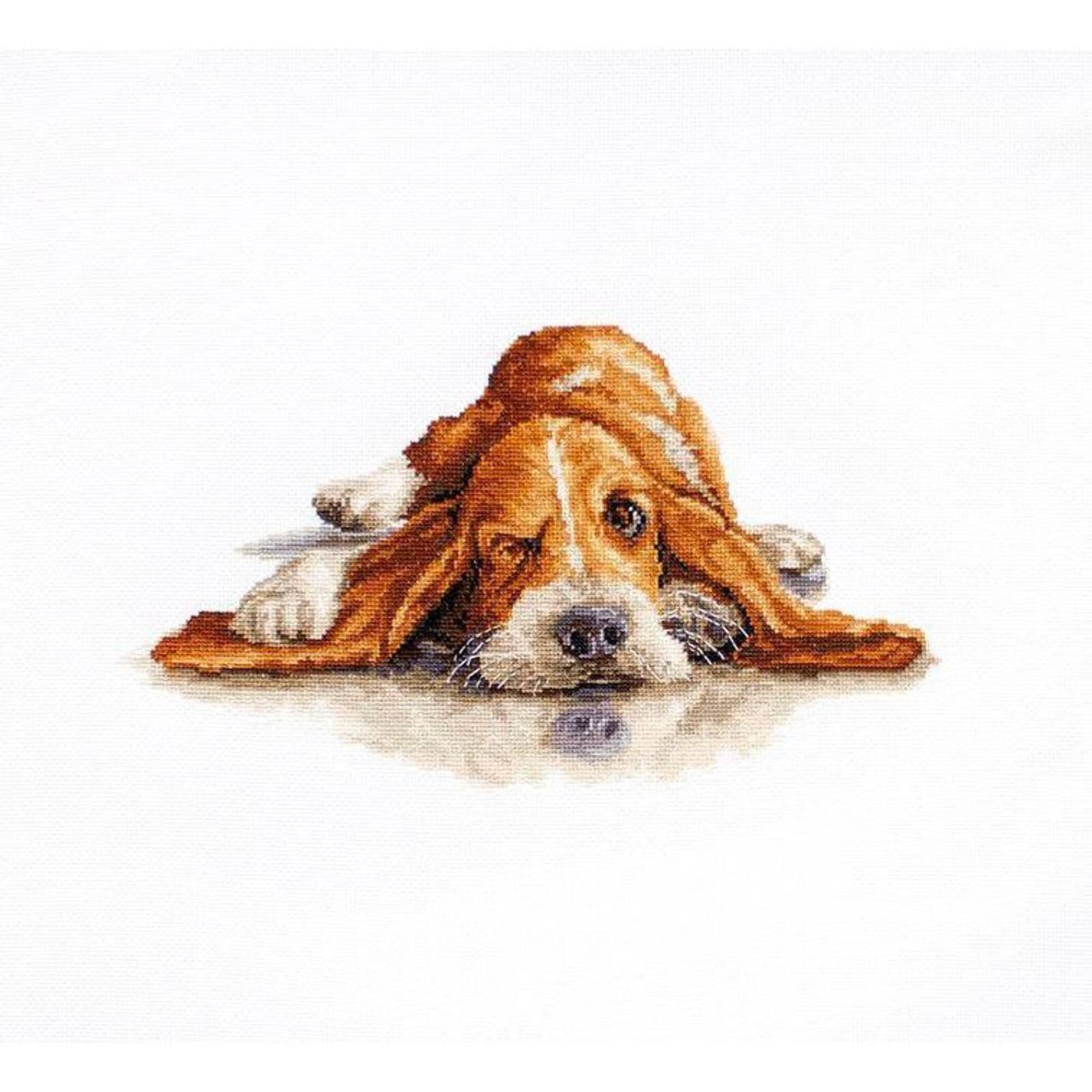 Luca-s Basset Counted Cross Stitch Kit